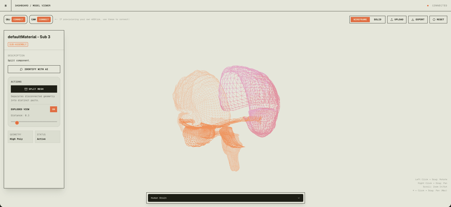 Brain Multiple